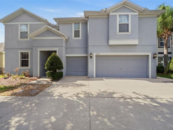 12125 STREAMBED DRIVE , RIVERVIEW, FL 33579