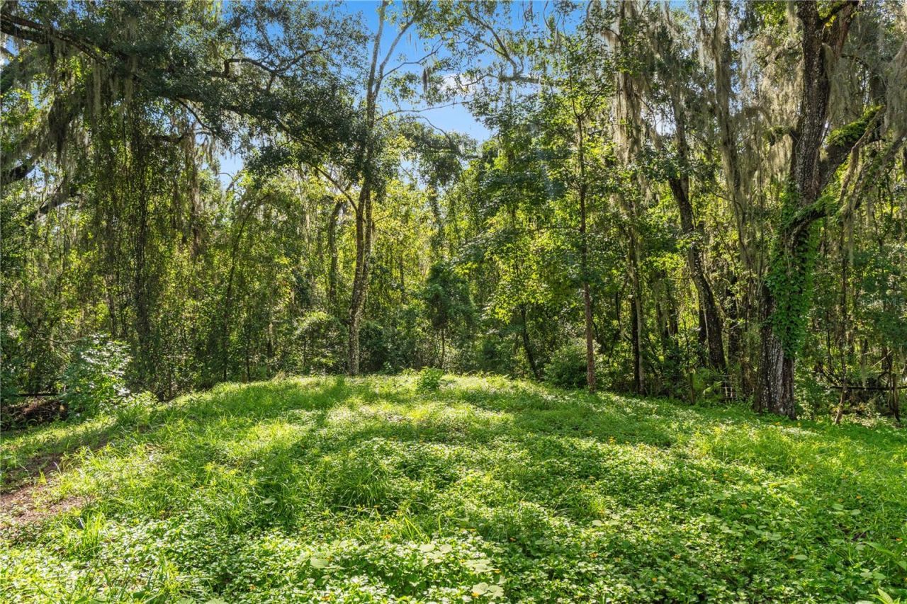 3270 Endsley Road, Brooksville, FL 34604 Photo