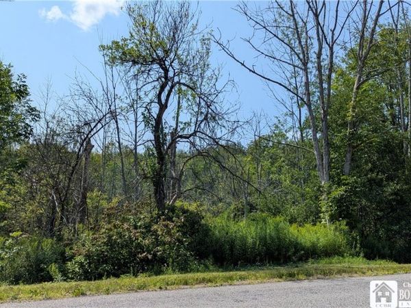 Beech Tree Road , West Valley, NY 14171