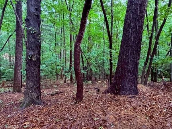 00 Woodland Drive , Elkin, NC 28621