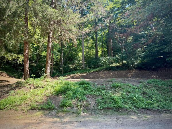 31700 Dixon Mill Road , Londonderry, OH 45647