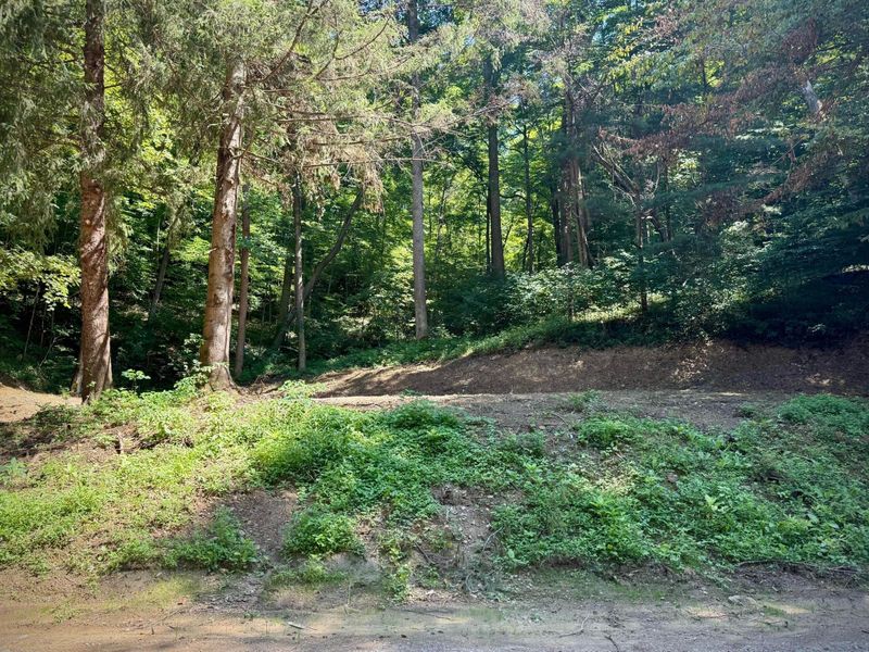 31700 Dixon Mill Road , Londonderry, OH 45647 Photo 6