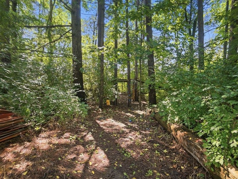 335 Shellbark , Marysville, OH 43040 Photo 68