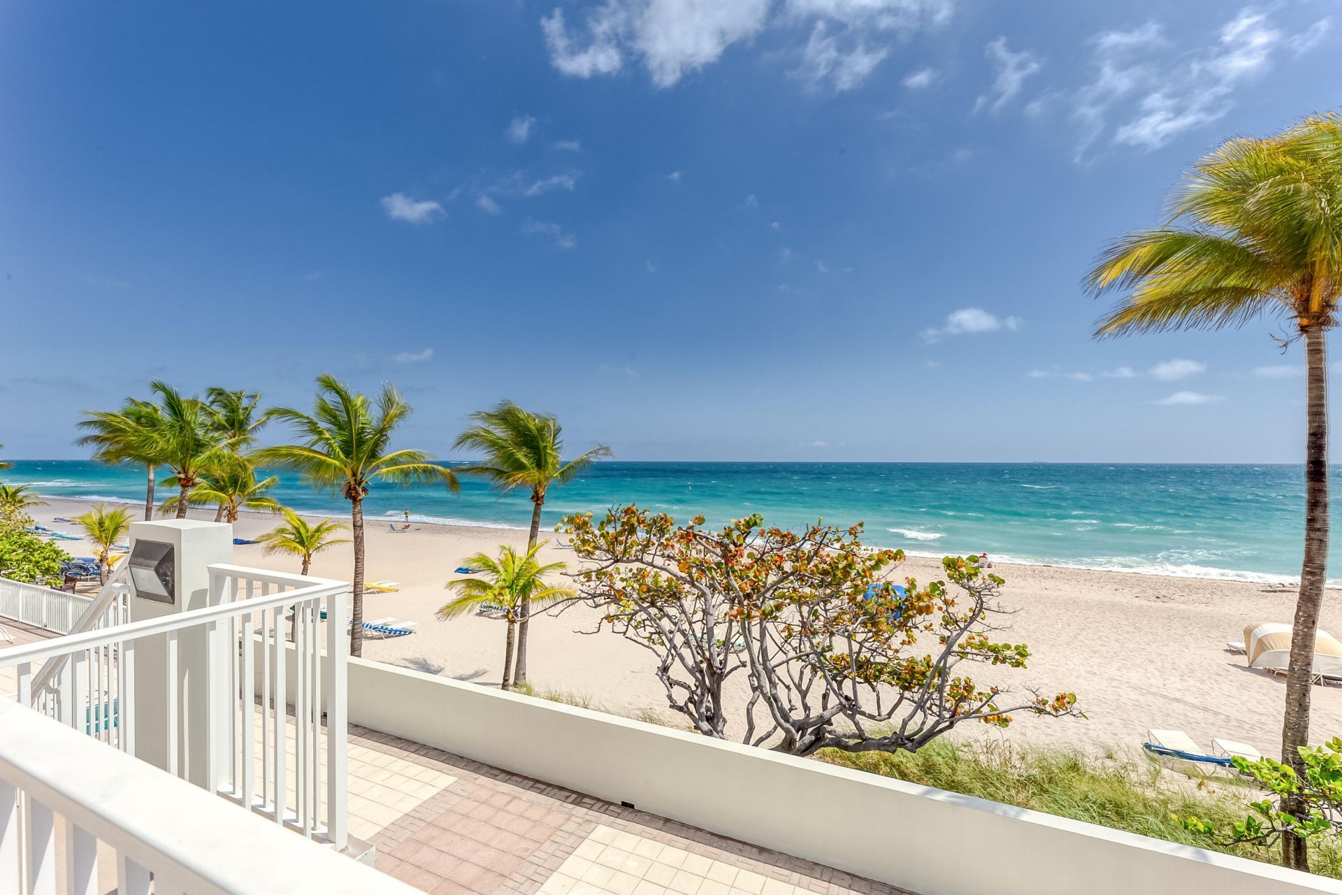 3500 Galt Ocean Drive, Unit 207, Fort Lauderdale, FL 33308 Photo
