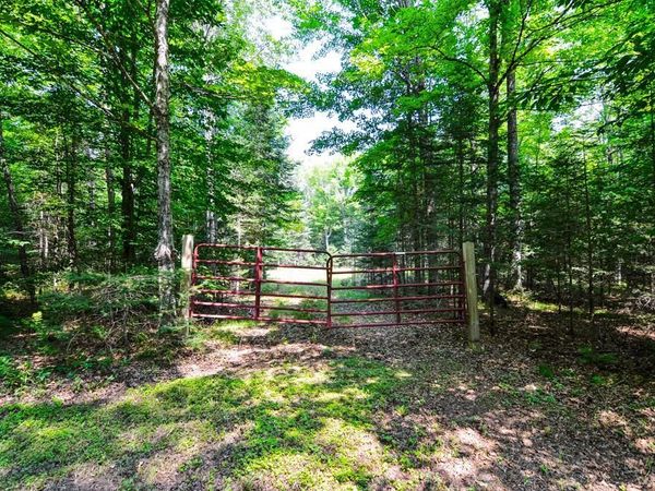 W15310 OLD J ROAD, Athelstane, WI 54104