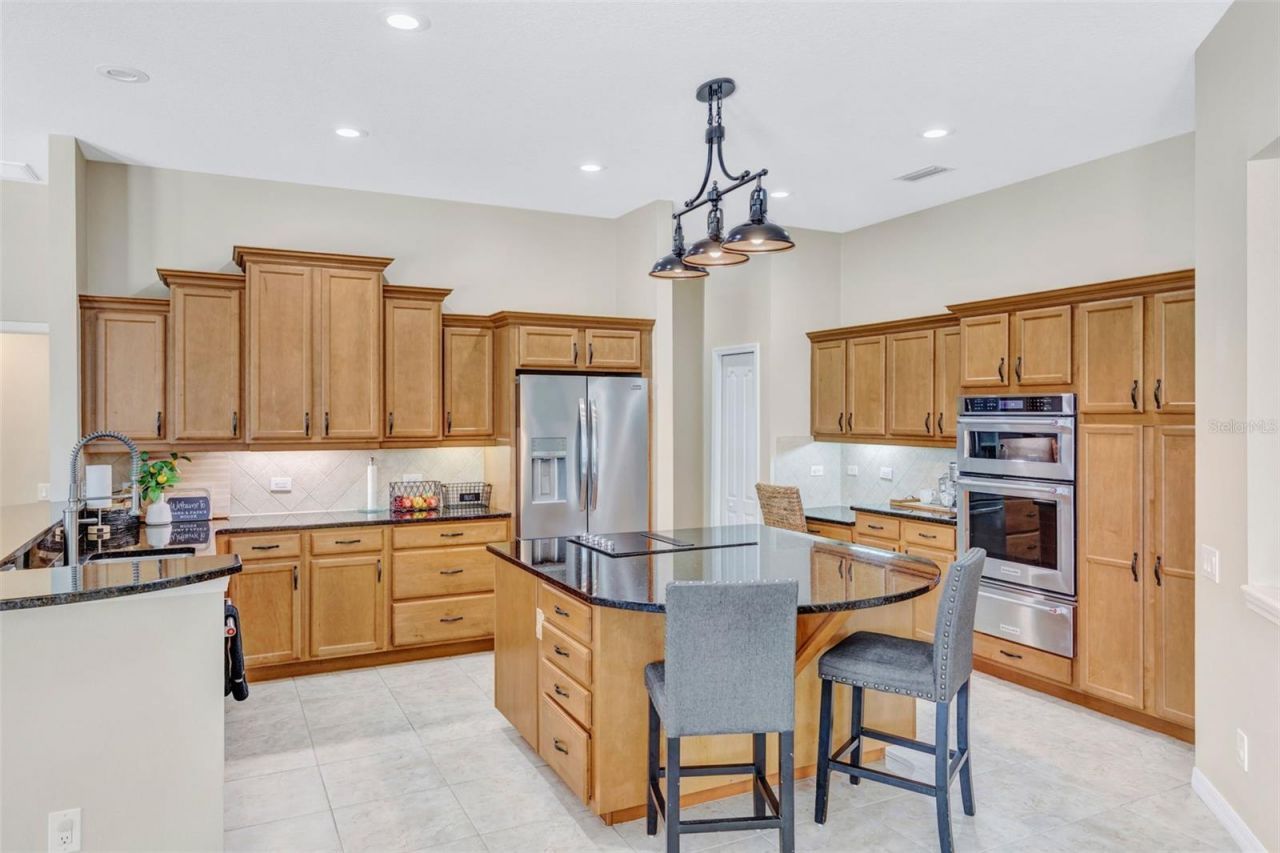 23302 Gracewood Circle, Land O Lakes, FL 34639 Photo