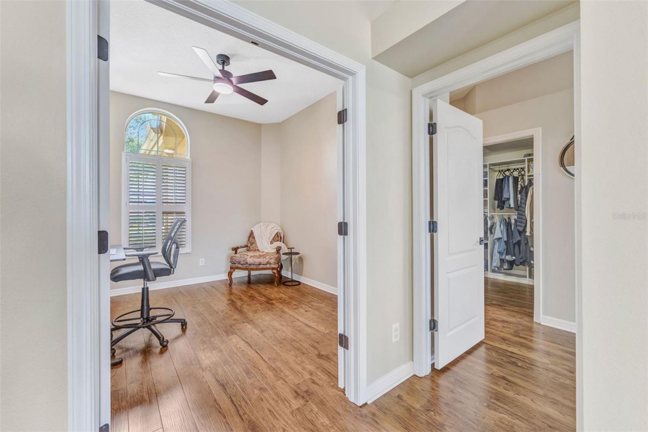 23302 Gracewood Circle, Land O Lakes, FL 34639 Photo