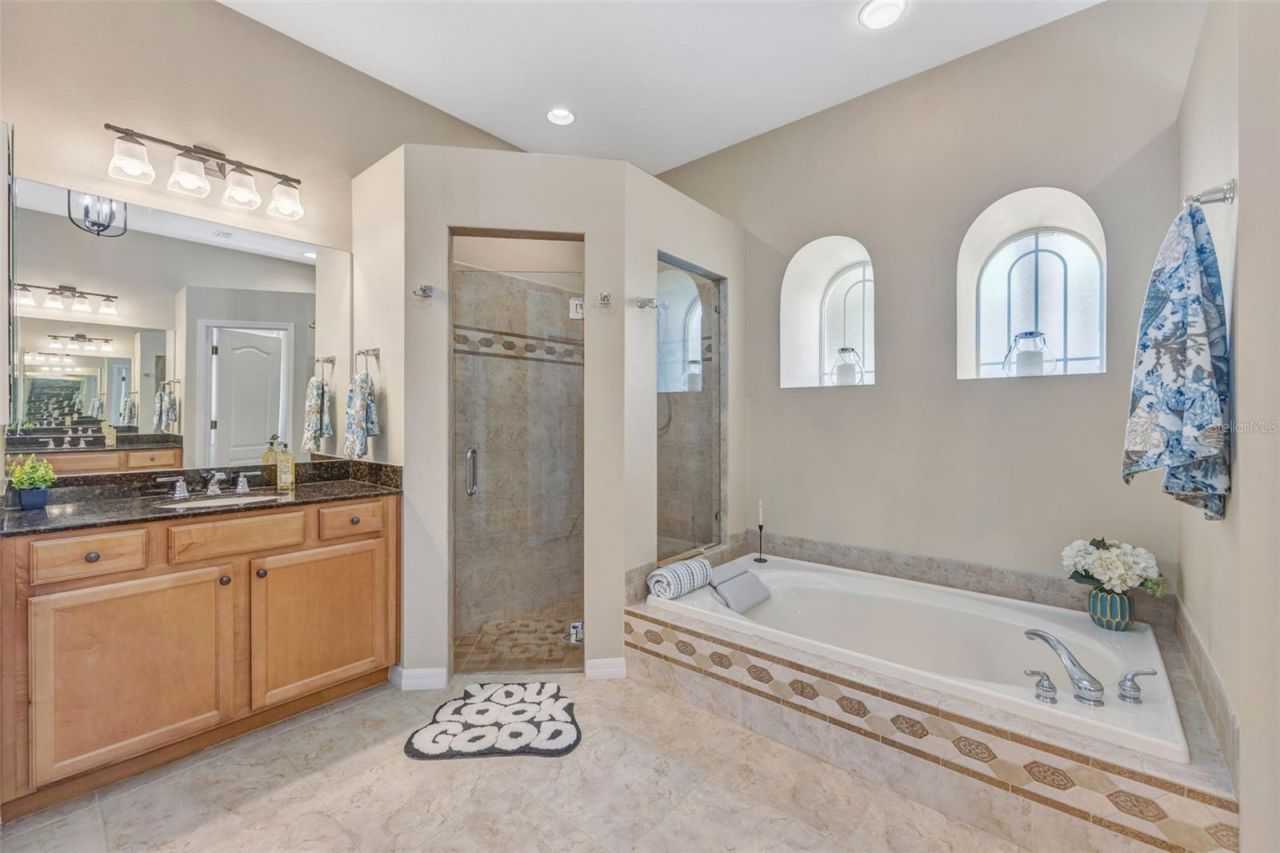 23302 Gracewood Circle, Land O Lakes, FL 34639 Photo
