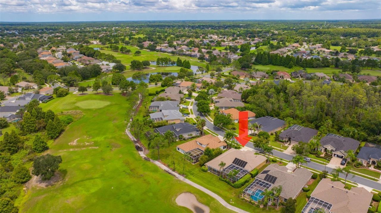 23302 Gracewood Circle, Land O Lakes, FL 34639 Photo