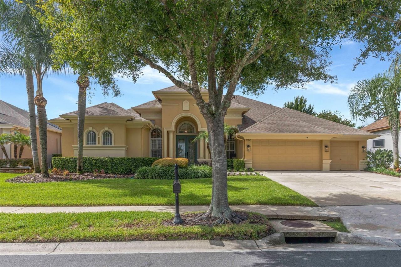 23302 Gracewood Circle, Land O Lakes, FL 34639 Photo
