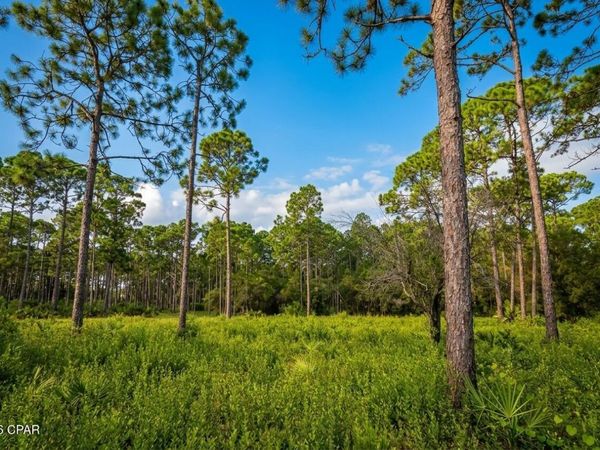 109 Via Italia, Panama City Beach, FL 32407