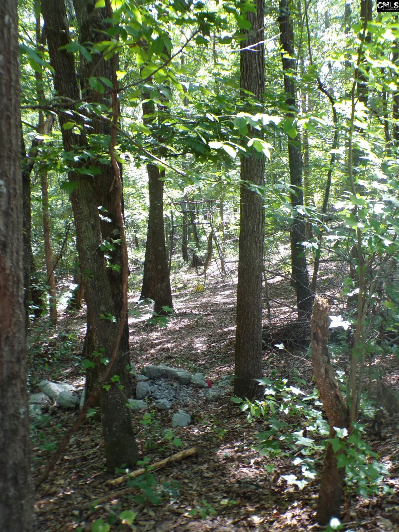1128 Taylor Lane Photo 32