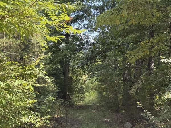 704 Windstone Drive, Sequatchie, TN 37374