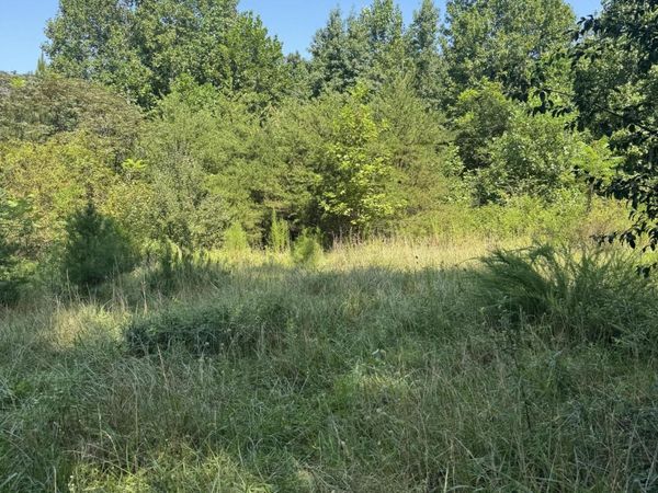 704 Windstone Drive, Sequatchie, TN 37374
