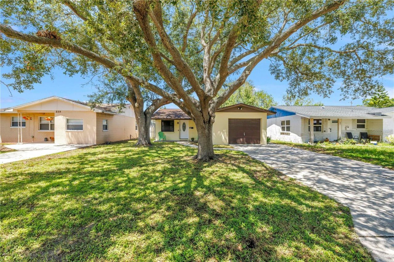 231 93rd Avenue N, Saint Petersburg, FL 33702 Photo