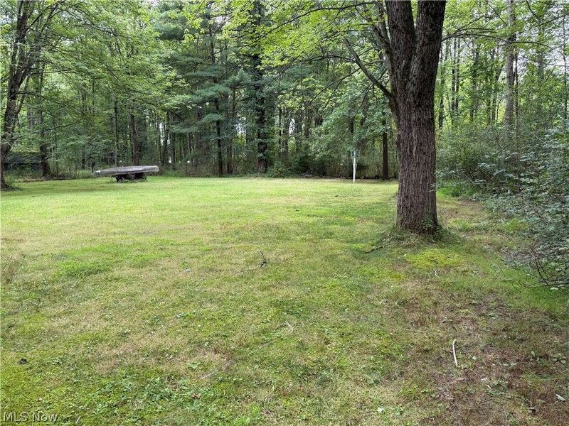 3598 Easton Road, Norton, OH 44203 Photo 10