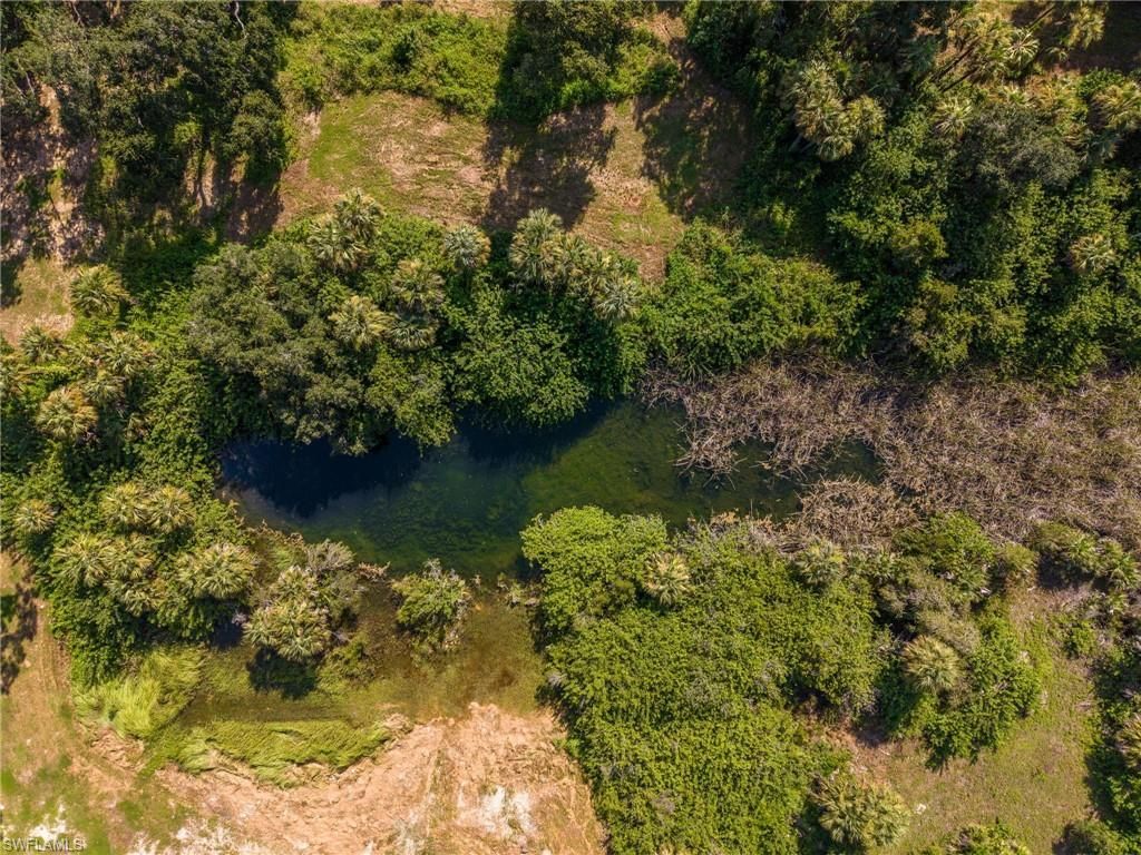 19040 Fox Run Rd , Alva, FL 33920 Photo