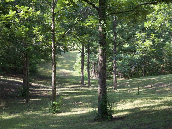 241 MISSISSIPPI 310 RD, Waterford, MS 38685