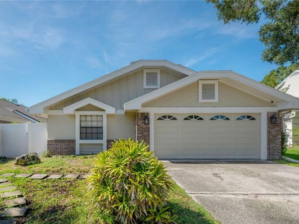 5026 CYPRESS TRACE DRIVE , TAMPA, FL 33624