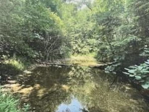 6 Hidden Lakes Road , Topton, NC 28781