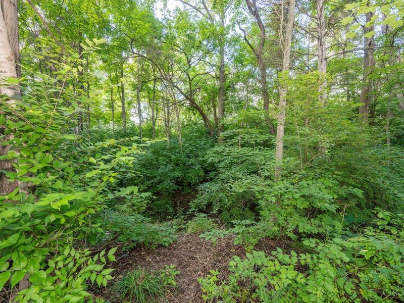 1826 Chapel Woods Drive, Batavia Township, OH 45103 Photo 46