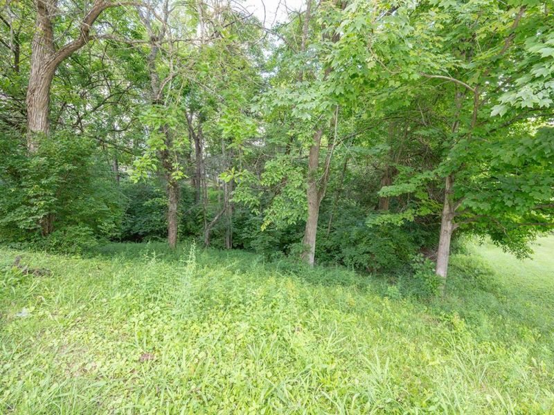 1826 Chapel Woods Drive, Batavia Township, OH 45103 Photo 48