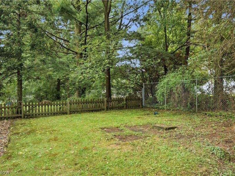 521 Cambridge Avenue, Youngstown, OH 44502 Photo 8