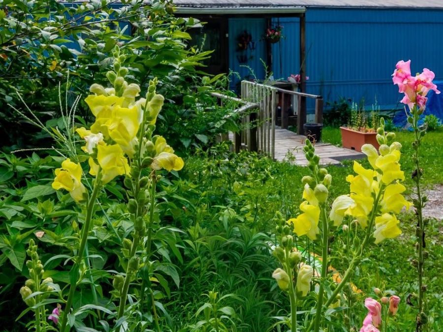Property Image 6