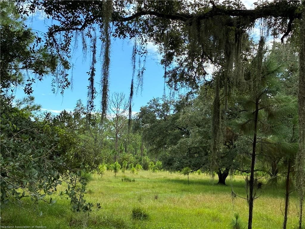 0 Detjen's Dairy Road, Venus, FL 33960 Photo