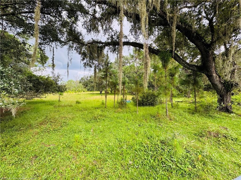0 Detjen's Dairy Road, Venus, FL 33960 Photo