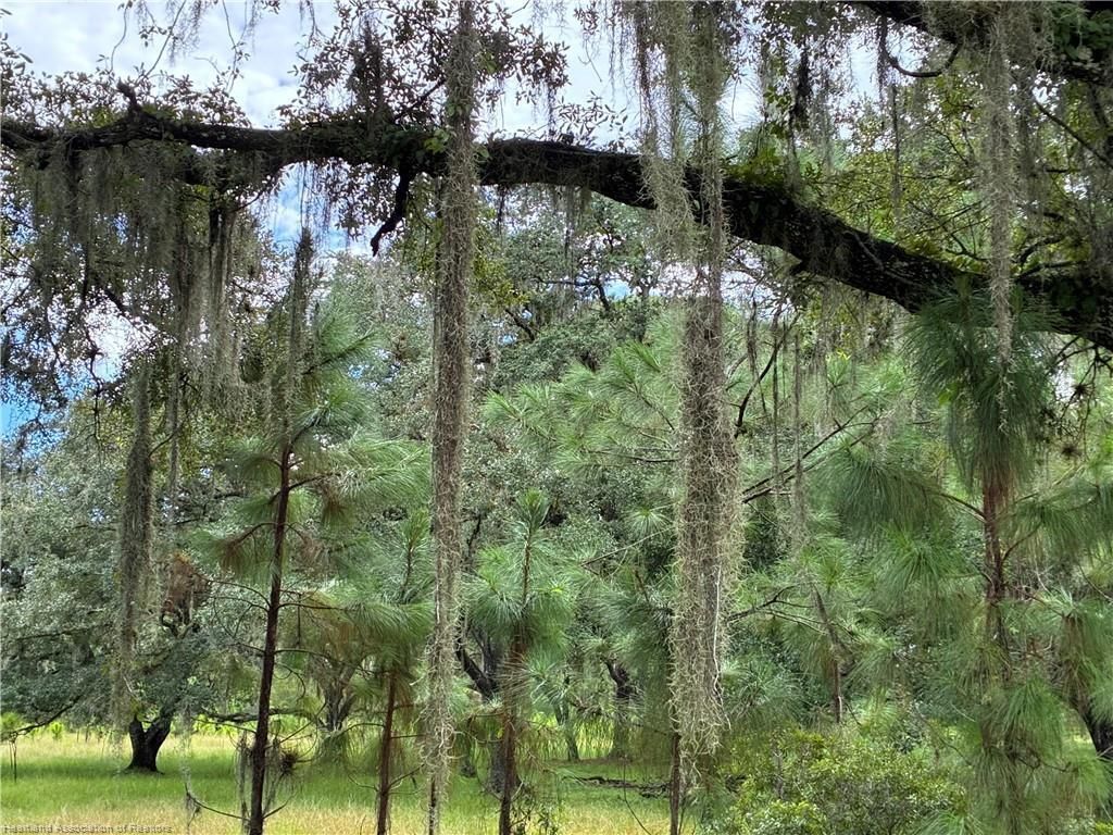 0 Detjen's Dairy Road, Venus, FL 33960 Photo