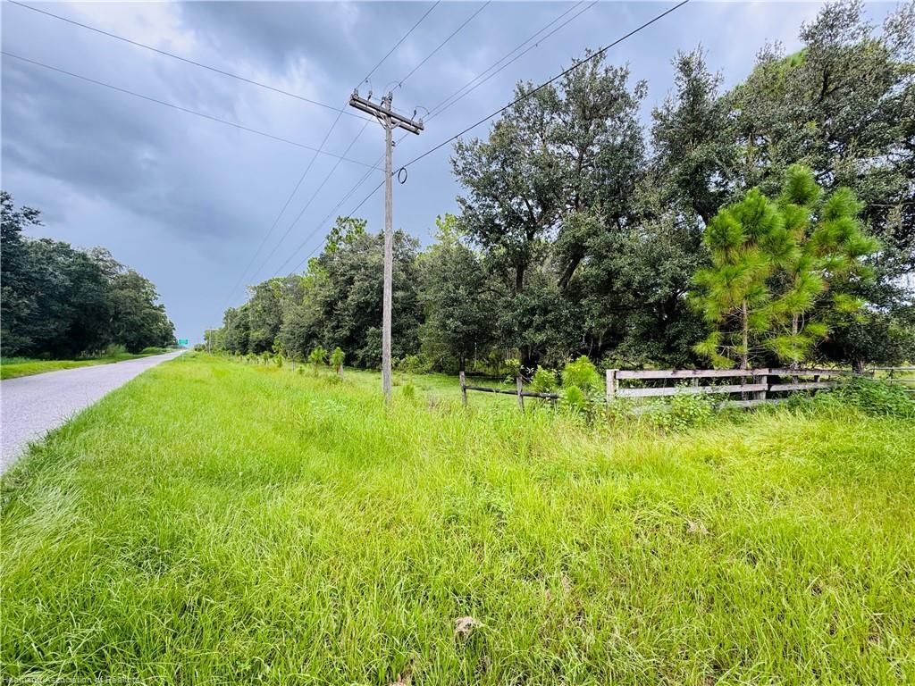 0 Detjen's Dairy Road, Venus, FL 33960 Photo