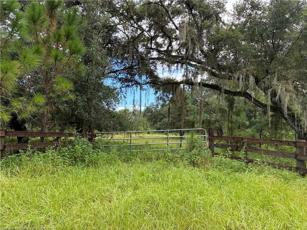 0 Detjen's Dairy Road, Venus, FL 33960 Photo