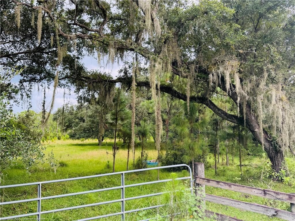 0 Detjen's Dairy Road, Venus, FL 33960 Photo