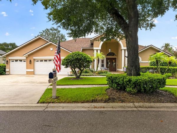 3918 S NINE DRIVE , VALRICO, FL 33596