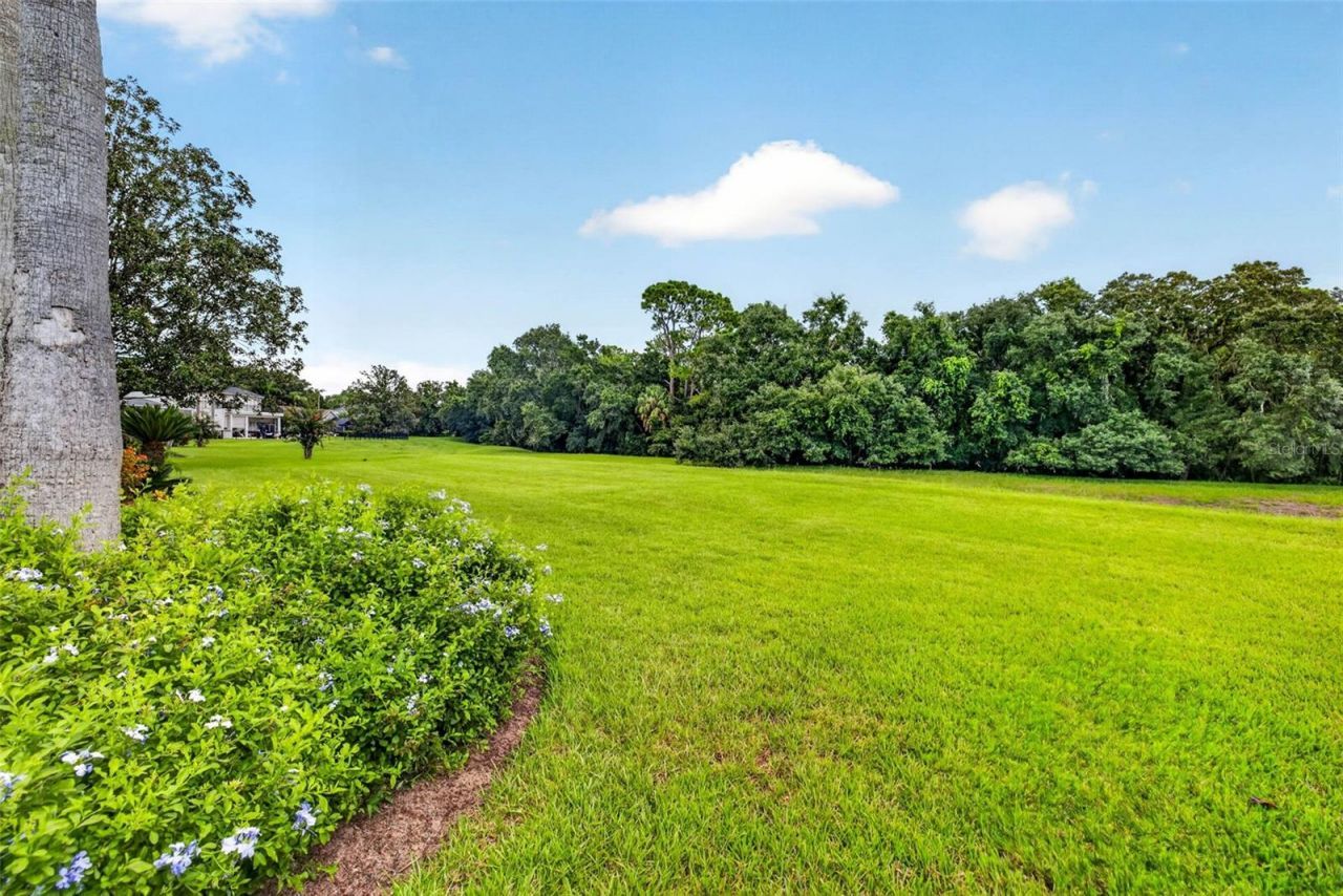 3918 S Nine Drive , Valrico, FL 33596 Photo