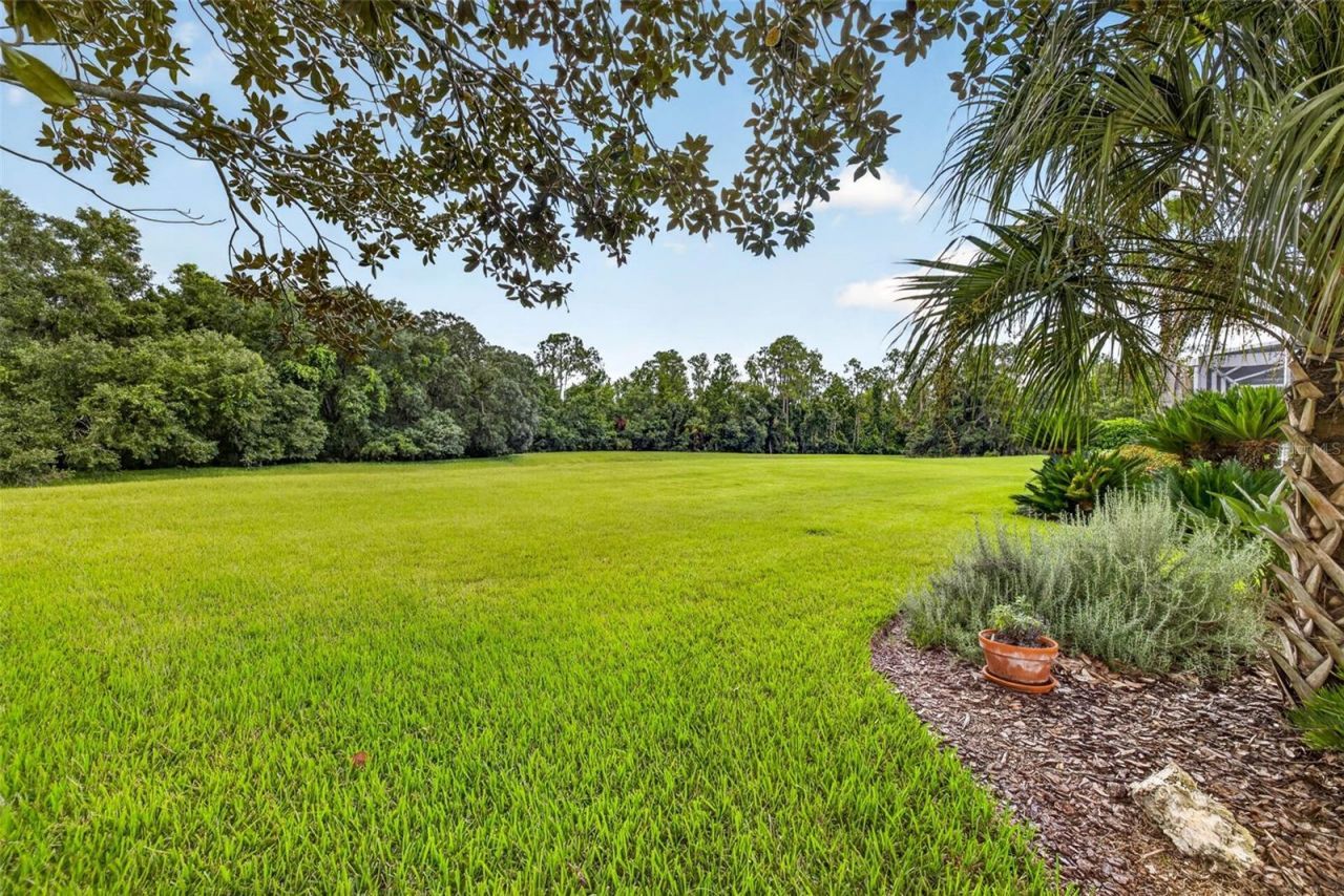 3918 S Nine Drive , Valrico, FL 33596 Photo