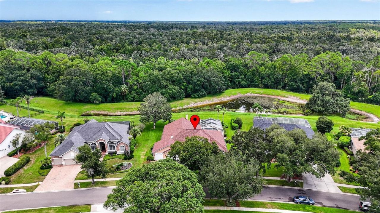 3918 S Nine Drive , Valrico, FL 33596 Photo