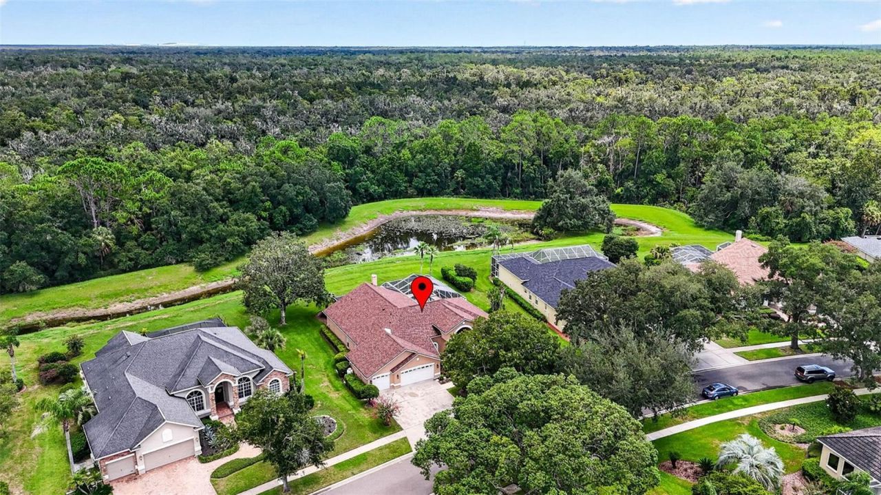 3918 S Nine Drive , Valrico, FL 33596 Photo