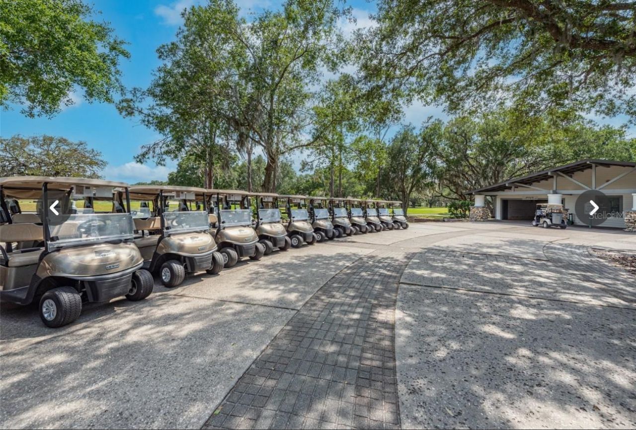 3918 S Nine Drive , Valrico, FL 33596 Photo