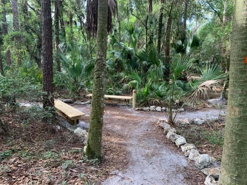 3918 S Nine Drive , Valrico, FL 33596 Photo