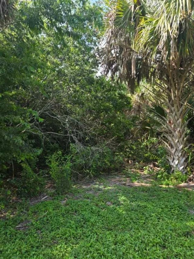 16980 SW Conners Highway , Canal Point, FL 33438 Photo