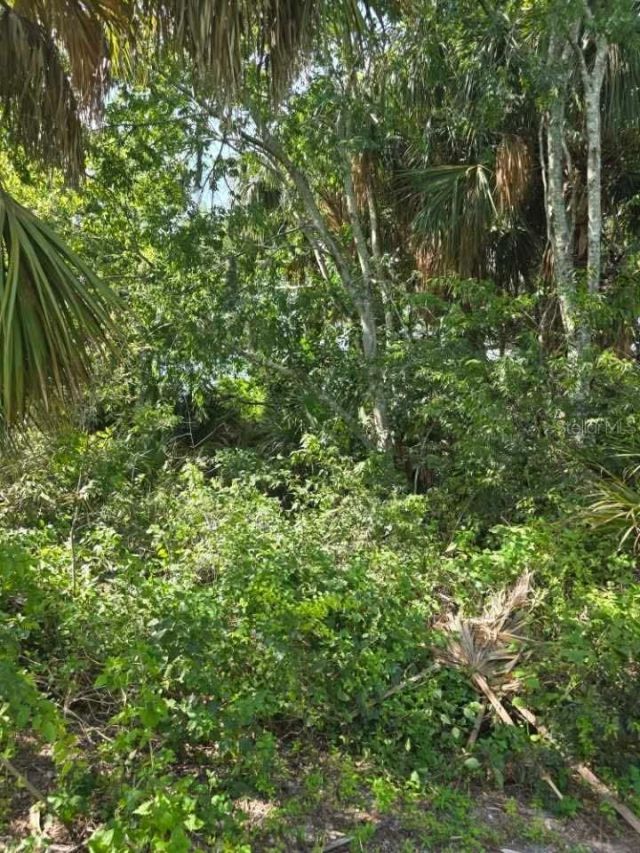 16980 SW Conners Highway , Canal Point, FL 33438 Photo