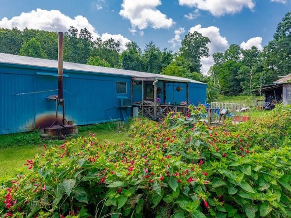 136 Holly Drive , Spring City, TN 37381
