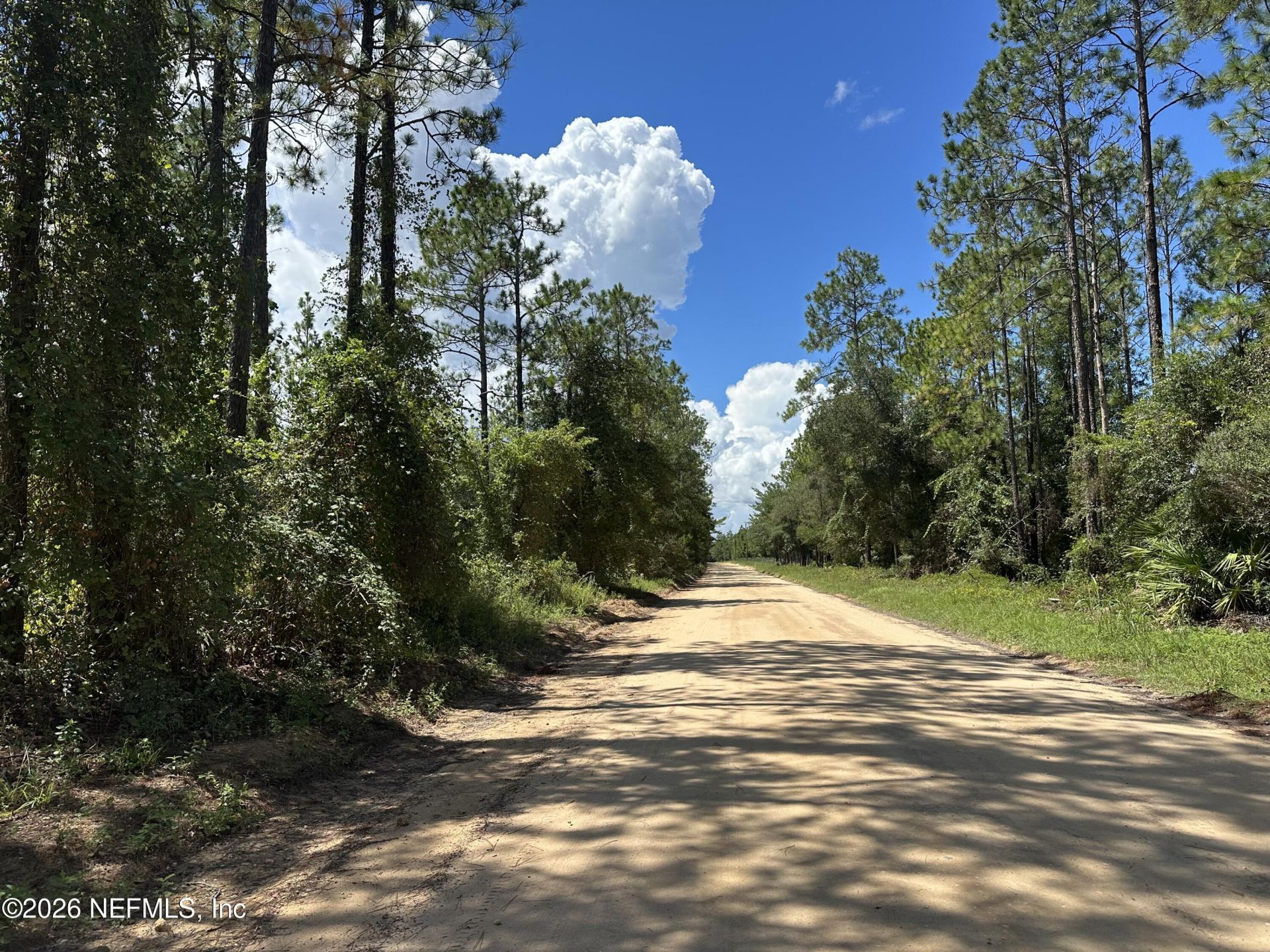 Lot 21 Bellamy Road, Florahome, FL 32140 Photo