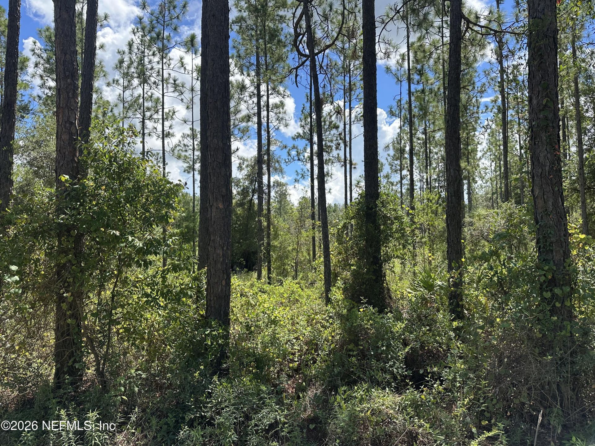 Lot 21 Bellamy Road, Florahome, FL 32140 Photo