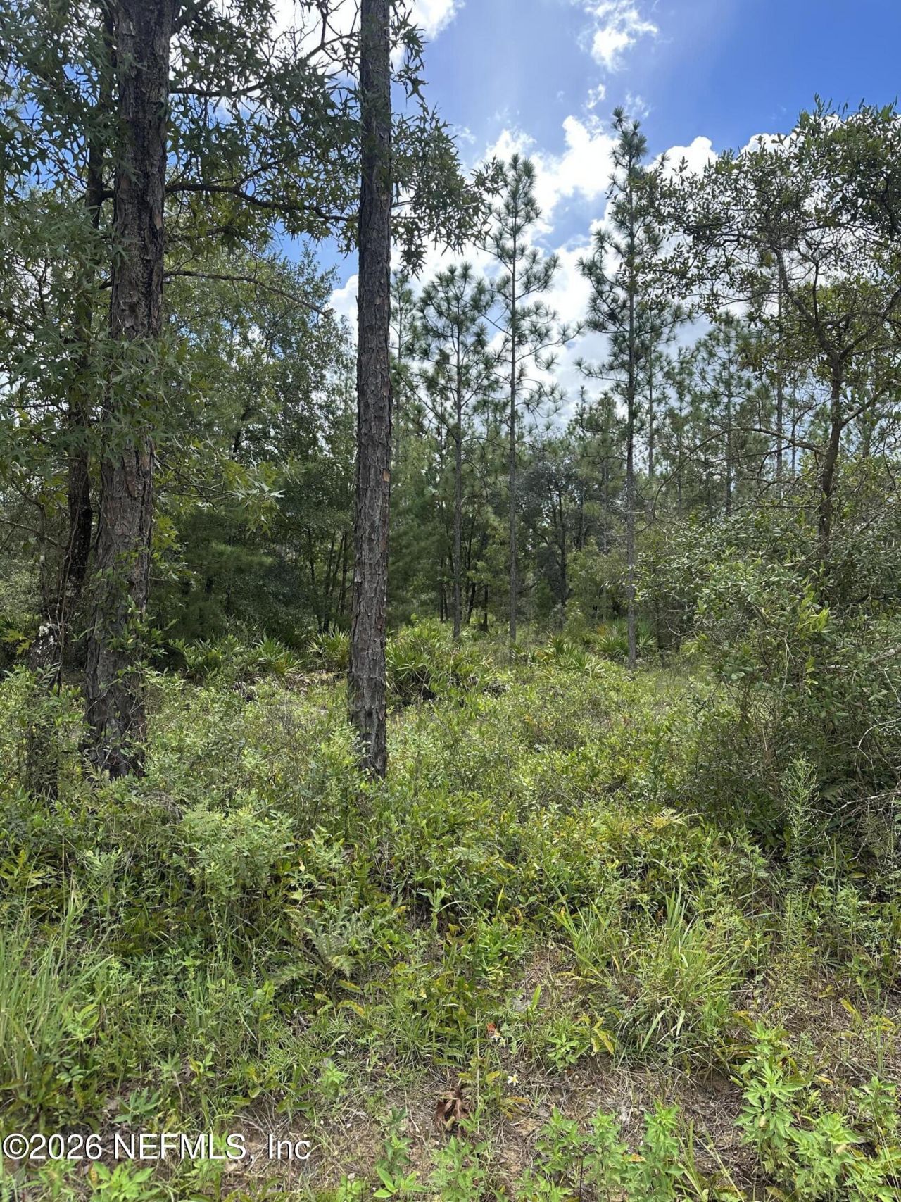 Lot 21 Bellamy Road, Florahome, FL 32140 Photo