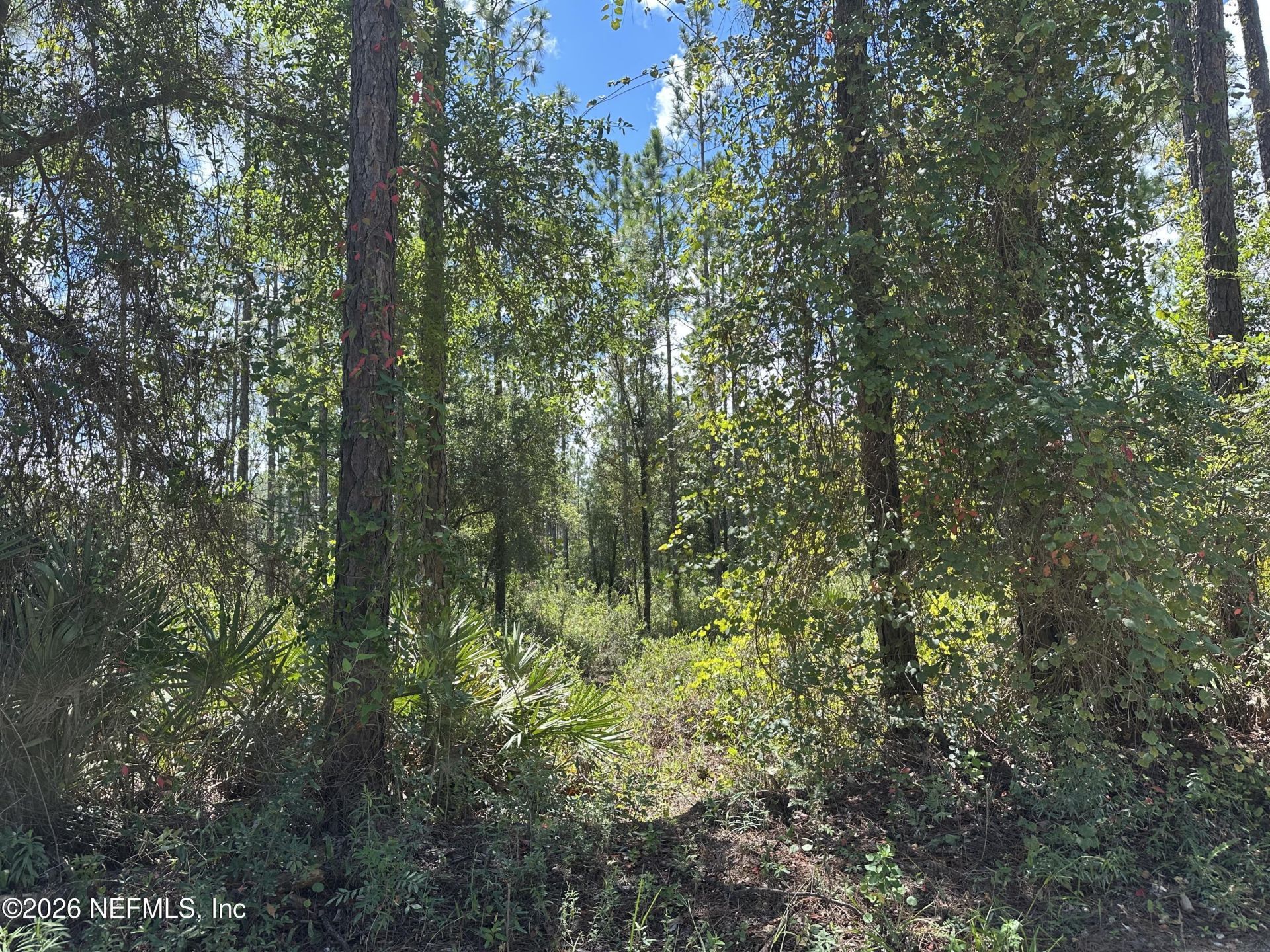 Lot 21 Bellamy Road, Florahome, FL 32140 Photo