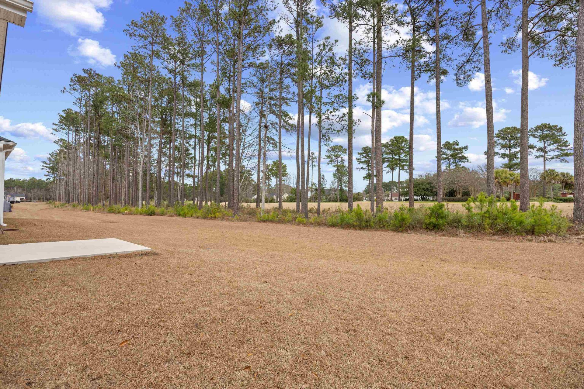 530 Beckham Ct. Photo 34
