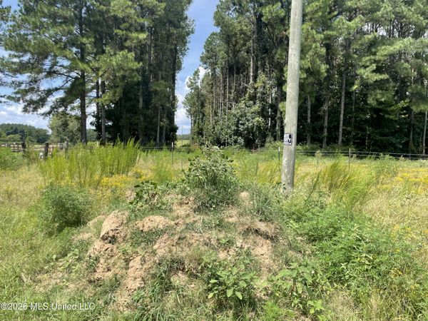 Steward Road, Senatobia, MS 38668
